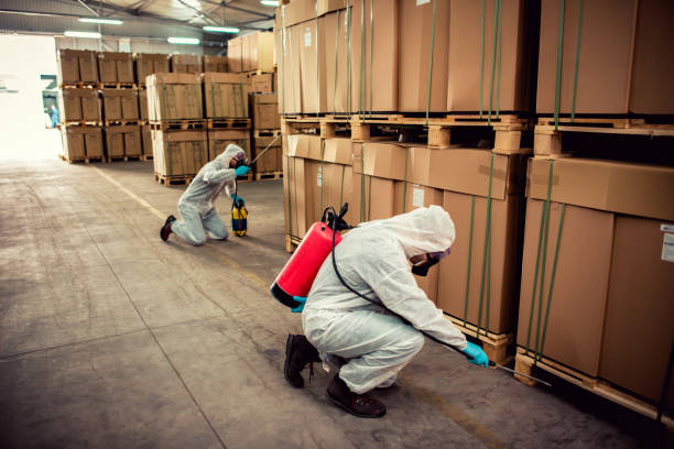 Best Pest Inspection Near Me  in Des Peres, MO