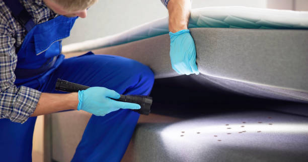 Best Pest Prevention Services  in Des Peres, MO