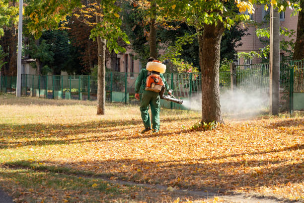 Pest Prevention Services in Des Peres, MO